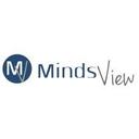 logo of Mindsview Technologies Ltd