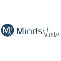 mindsview technologies ltd logo image