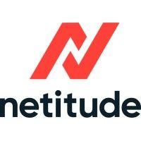 netitude ltd | technology experts | microsoft gold partner logo image