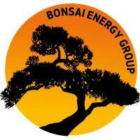 bonsai energy group