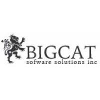 bigcat software solutions, inc. logo image