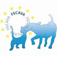 fecava logo image