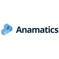 anamatics consulting logo image