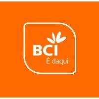 bci - banco comercial e de investimentos (moçambique/mozambique) logo image