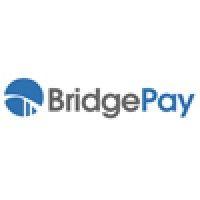 bridgepay network solutions logo image