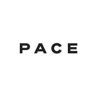 pace development group logo image