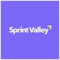 sprint valley logo image