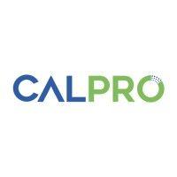 calpro specialities pvt ltd logo image