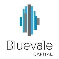 bluevale capital group logo image