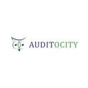 logo of Auditocity