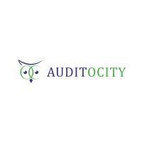 auditocity logo image