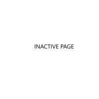 inactive page - formally ebonite international logo image