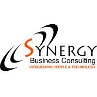 synergy business consulting, inc.