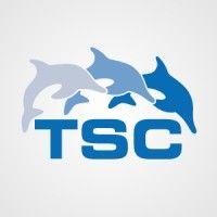 tsc strategic logo image