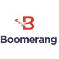 boomerang tube, llc logo image