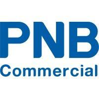 pnb commercial sdn. berhad