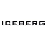 iceberg interactive llc