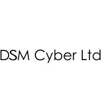 dsm cyber ltd logo image