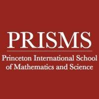 princeton international school of mathematics and science, inc. logo image