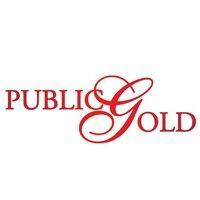 public gold international bhd. logo image