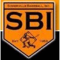 somerville baseball inc. logo image