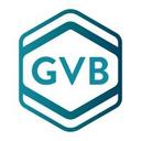 logo of Gvb Biopharma