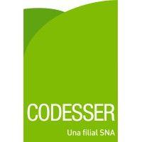 codesser logo image