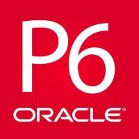 primavera p6 & ms project training