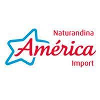 américa import logo image