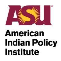 american indian policy institute logo image