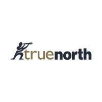 true north itg inc logo image