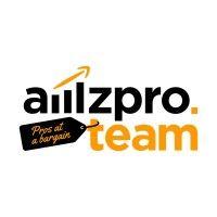 amzpro team logo image