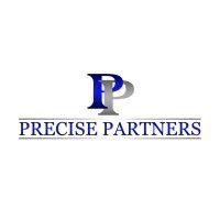 precise partners, llc