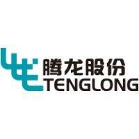 changzhou tenglong auto parts  co., ltd. logo image