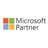 microsoft partner logo image