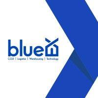 blueex logo image