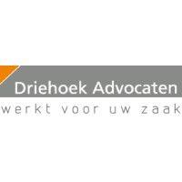 driehoek advocaten b.v. logo image