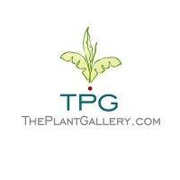 the plant gallery, inc.