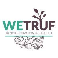 wetruf logo image