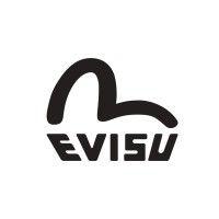 evisu logo image