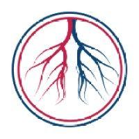 american endovascular & amputation prevention