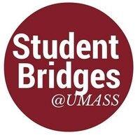 student bridges agency logo image