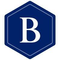 brunswick group logo image