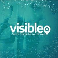 visibleo logo image