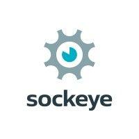 sockeye technologies inc. logo image