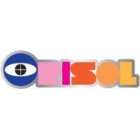 orisol israel logo image