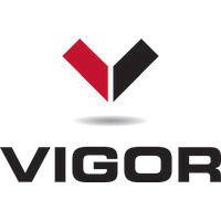 vigor, llc logo image