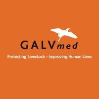 galvmed logo image