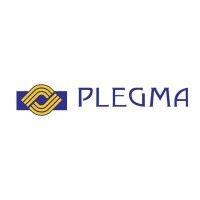 plegma s.a. business consultants logo image