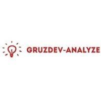 gruzdev analyze logo image